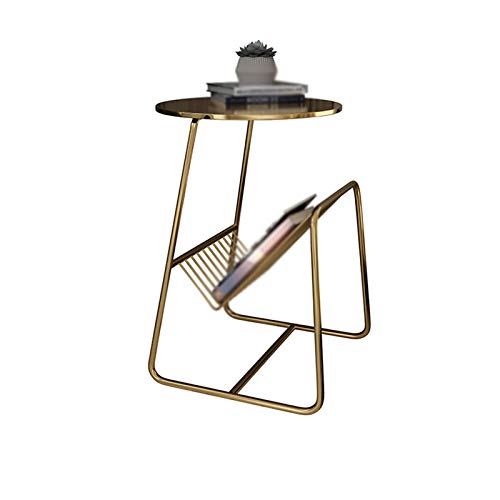 DEMYA Zeitschriftentisch, runder Beistelltisch aus Metall mit 2-lagigem Stauraum, Moderne Nachttische/Nachttische, Wohnzimmer, Büro, Lounge, Sofa, Beistelltische (Größe: 36 x 36 x 56 cm, Farbe: Go