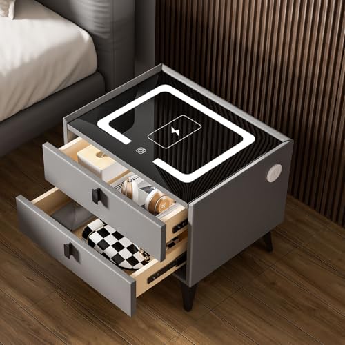 Oyajia Nachttisch mit Led und Kabellosem Ladefunktionund, Smarter Nachttisch mit USB Steckdose und 2 Schubladen, Bedside Table für Wohn und Schlafzimmer, Nightstand Schwarz und Grau