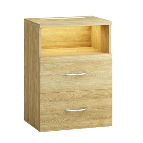 Casaria® Touch LED Beleuchtung 40x28x55 cm Dimmbar Holz 2 Schubladen Schlafzimmer Wohnzimmer Beistelltisch Eiche