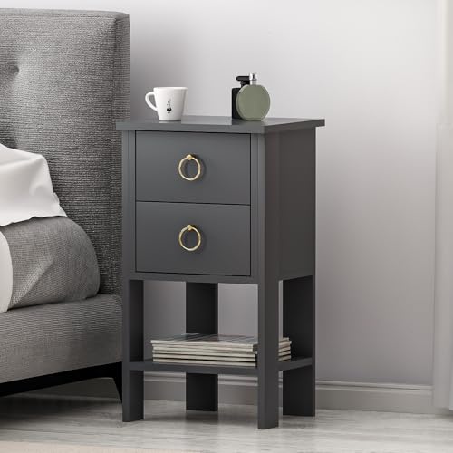 Homidea CEVHER Nachttisch - Nachtkommode - Ablagetisch - Nachtschrank mit 2 Schubladen und Regal – 40 x 35 x 73,8 cm – Moderner Beistelltisch fürs Schlafzimmer (Anthrazit)