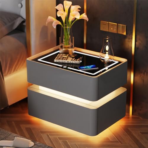 GAOzhenq Intelligenter Nachttisch mit USB-Ladeanschlüssen und Steckdosen, LED-Nachttisch mit 2 Schubladen, Moderne Möbel für Schlafzimmer und Wohnzimmer (Silber, 1 Größe)