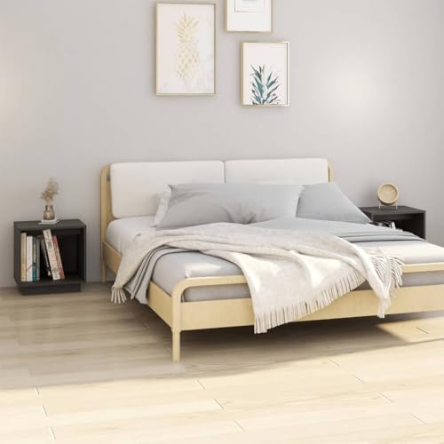  Nachttische 2er Set Grau 40x30x40
