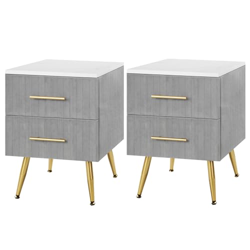 WOLTU 2er Set Nachttisch mit 2 Schubladen, Nachtkommode Nachtschrank für Boxspringbett Schlafzimmer, Kommode für Wohnzimmer, Couchtisch Sofatisch, aus MDF Metallbeinen, Grau, TS134gr-2